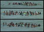 (11) paddle out montage.jpg    (1000x740)    327 KB                              click to see enlarged picture